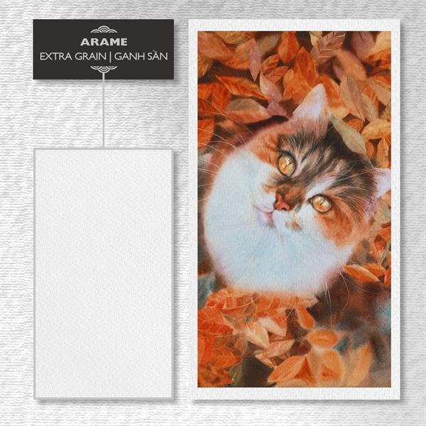 Giấy vẽ màu nước Arame185gsm