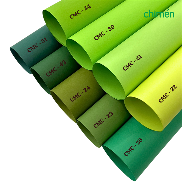 Alternative view of Giấy màu Carnaval CMC 120gsm tone Xanh lá (20 tờ)