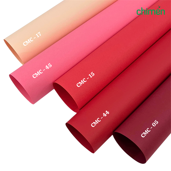 Giấy màu Carnaval CMC 120gsm tone Đỏ (50 tờ)