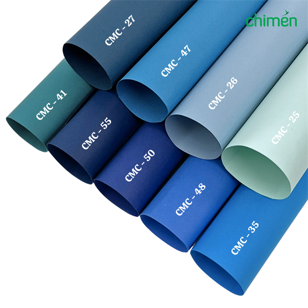 Alternative view of Giấy màu Carnaval CMC 120gsm tone Xanh Dương (10 tờ)